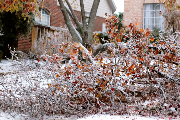 Dallas Wedding Photographers - K & S Photography